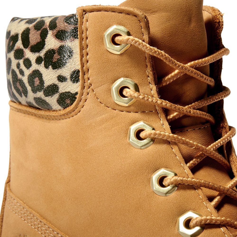 Botas Feminino - Timberland 6-Inch Kinsley Impermeavel - JLTME1706 - Marrom